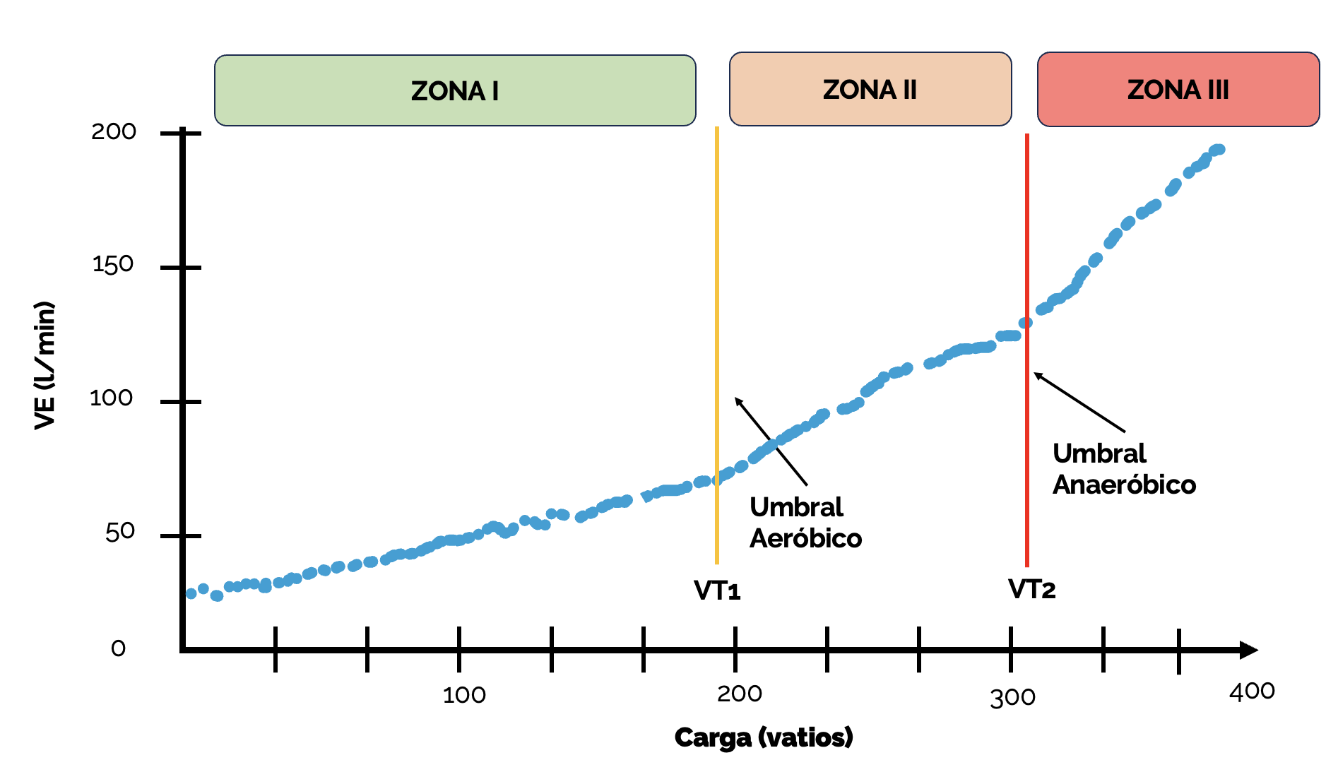 Zonas De Entrenamiento Deportivo Doctor Deporte