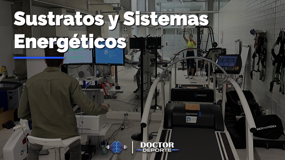 Sustratos y sistemas energéticos en el laboratorio